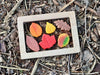 Sensory Play Stones – Leaves