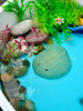 Fish – Sensory Play Stones
