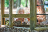 Plum® Discovery® Adventure Playcentre, Outdoor Play Equipment Learning SPACE