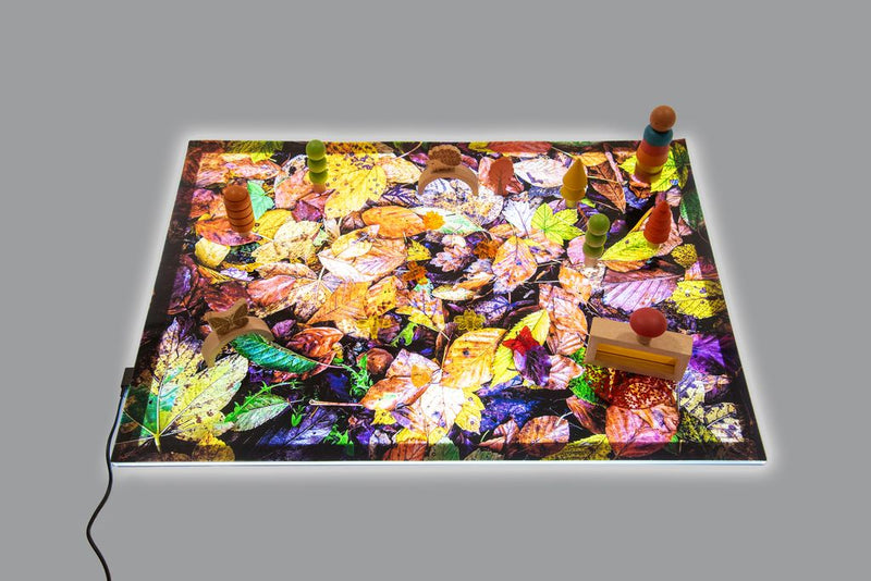 Autumn Leaves A2 Play Mat, Learning SPACE