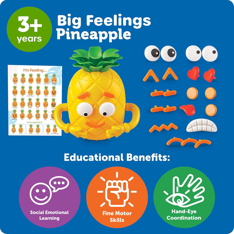 Big Feelings Pineapple™, Learning SPACE