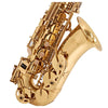 Alto Saxophone-Musical Instruments-Brass Instruments,Dropship,Music,Musical Instruments,School Musical Instruments-Learning SPACE