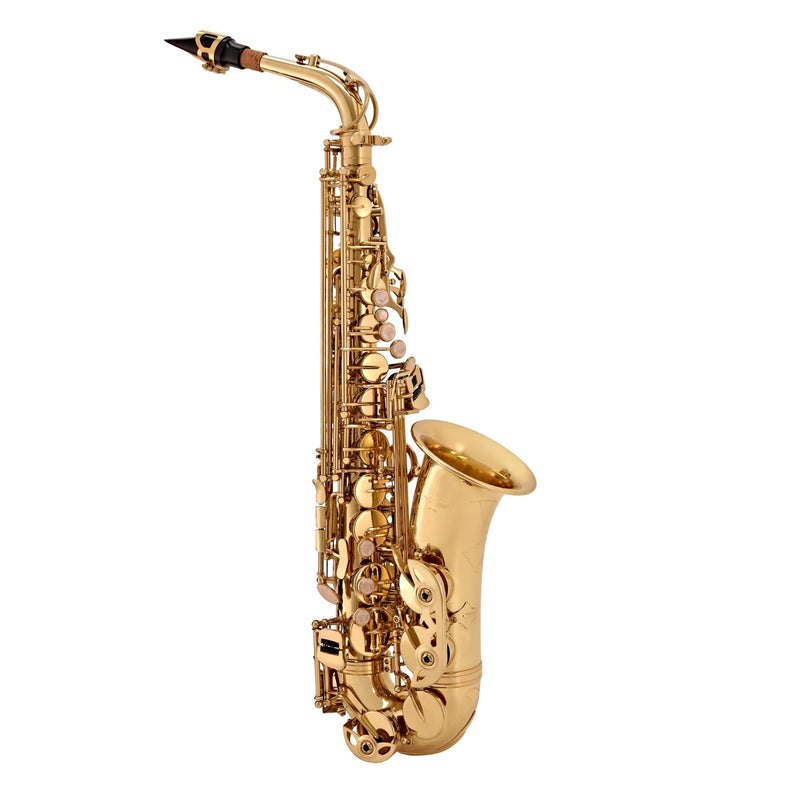 Alto Saxophone, Musical Instruments Learning SPACE