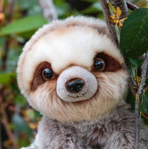 Animigos - Sloth - World of Nature-Animals, Animigos, Baby & Toddler Gifts, Baby Soft Toys, Baby Toys, Comfort Toys, Featured, Gifts for 0-3 Months-Learning SPACE