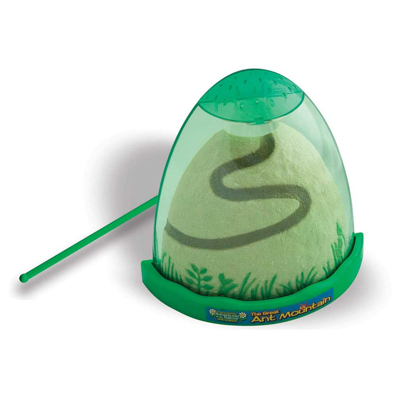 Ant Mountain, Learning SPACE