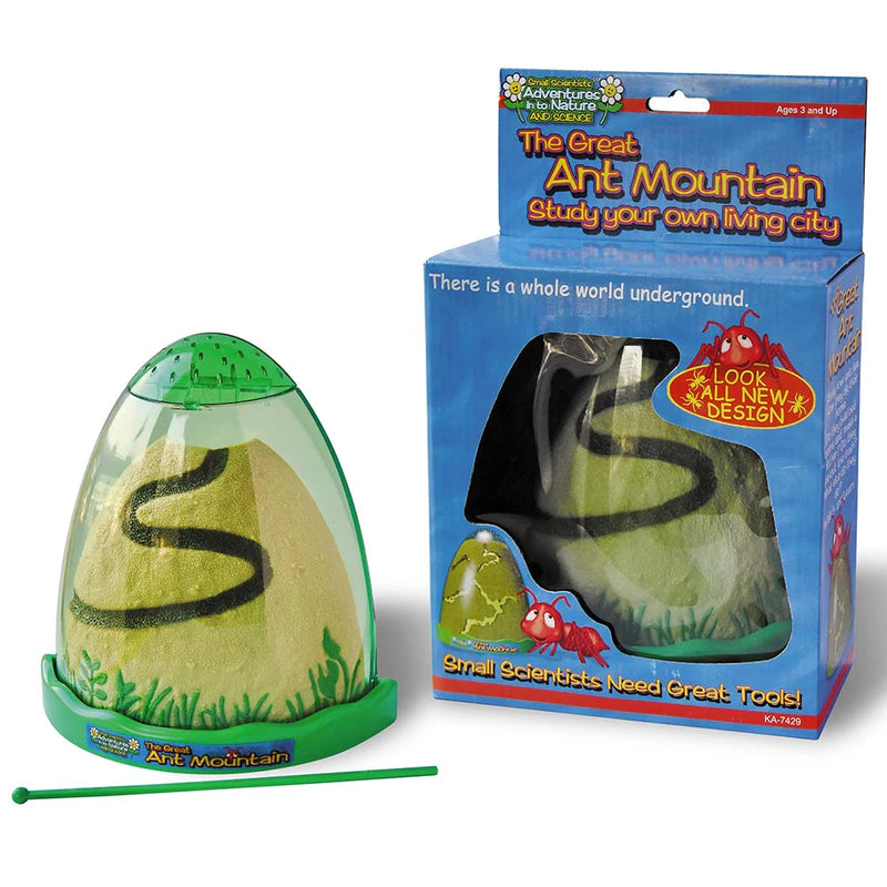 Ant Mountain, Learning SPACE