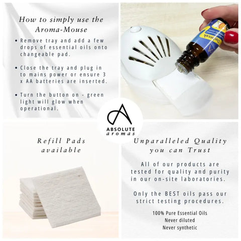 Aroma-Mouse Travel Diffuser, Aroma Diffuser Learning SPACE