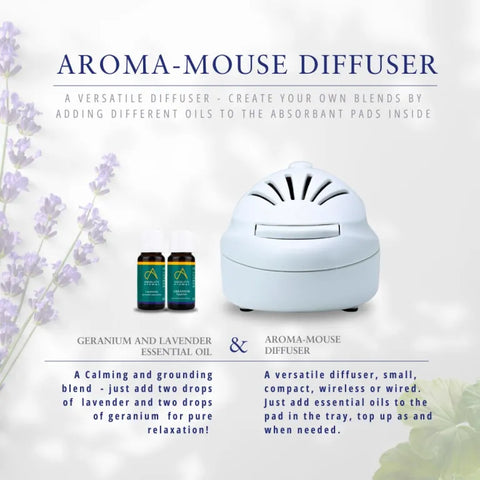 Aroma-Mouse Travel Diffuser, Aroma Diffuser Learning SPACE