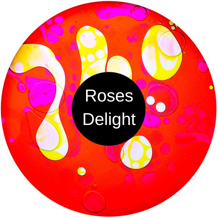 Aura and Solar Projector - 6 Inch Magnetic Liquid Effect Wheel, VAT Exempt D - Roses Delight Learning SPACE