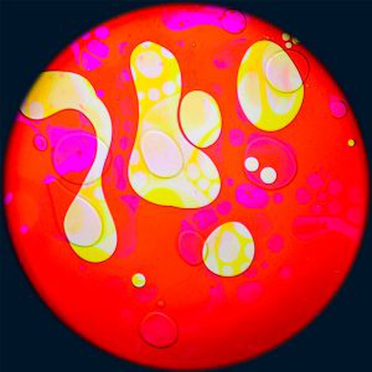 Aura and Solar Projector - 6 Inch Magnetic Liquid Effect Wheel, Learning SPACE