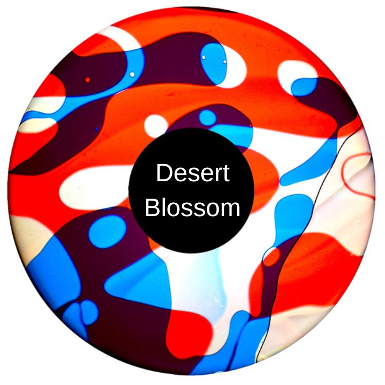 Aura and Solar Projector - 6 Inch Magnetic Liquid Effect Wheel, VAT Exempt N - Desert Blossom Learning SPACE