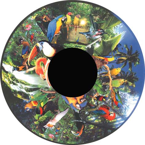 Aura and Solar Projector - 6 Inch Magnetic Picture Wheel, Tropical Birds VAT Exempt Learning SPACE