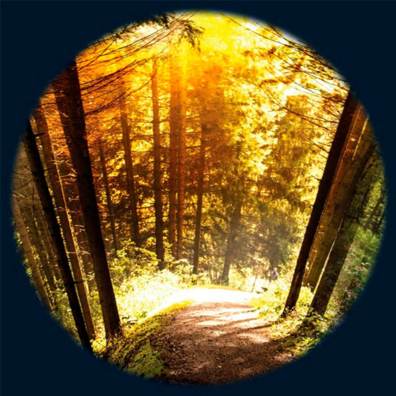 Aura and Solar Projector - 6 Inch Magnetic Picture Wheel, Seasonal Wood VAT Exempt Learning SPACE
