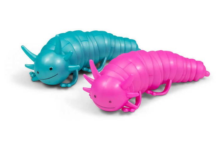Axolotl Fidget Toy, Learning SPACE