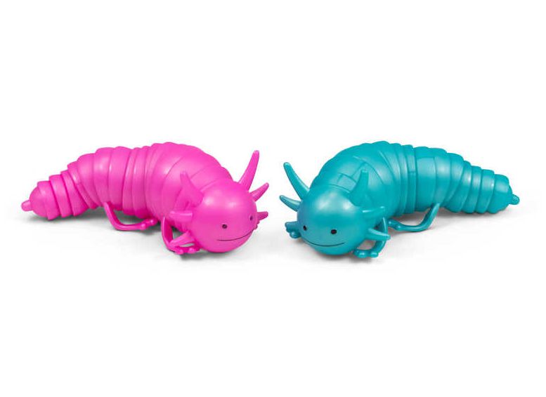 Axolotl Fidget Toy, Learning SPACE