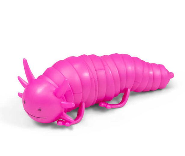 Axolotl Fidget Toy, Learning SPACE