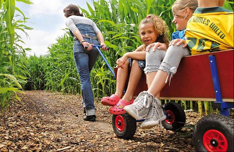 Three children riding in a wooden BERG Beach Wagon pulled along a path through tall crops