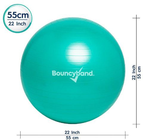 Bouncyband® Balance Ball No-Roll Weighted Seat, Learning SPACE