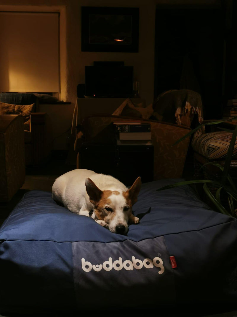 Buddabag Snuggle Memory Foam Bean Bag - Choice of Size, Learning SPACE