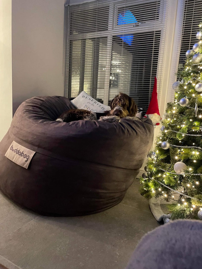 Buddabag Snuggle Memory Foam Bean Bag - Choice of Size, Learning SPACE