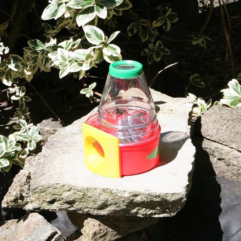Bug And Plant Taster Pack, Learning SPACE