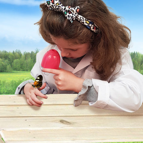 Bug And Plant Taster Pack-Classroom Packs,Dropship,Early Science,EDUK8,Forest School & Outdoor Garden Equipment,Garden Game,Nature,Outdoor Play,Science Activities,Spring-Learning SPACE