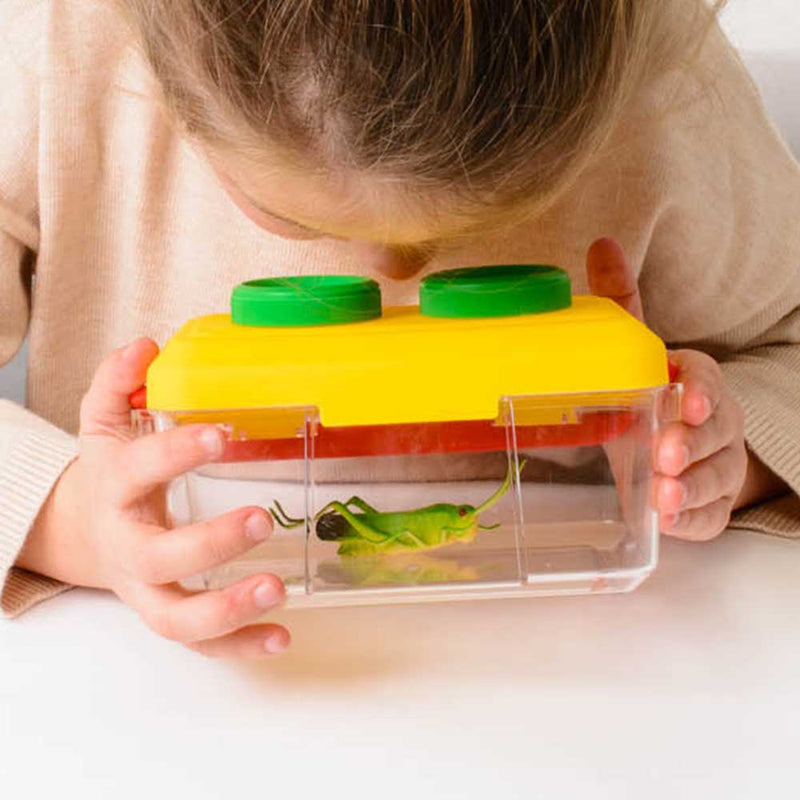 Bug And Plant Taster Pack, Learning SPACE