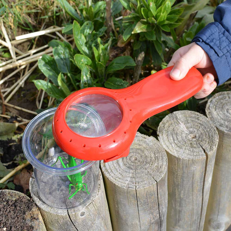 Bug And Plant Taster Pack, Learning SPACE