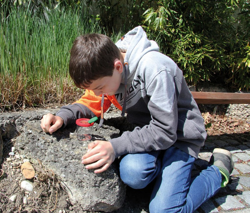 Bug Viewer with Dual Magnification, Learning SPACE