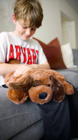 Plush Puppy 2.2kg Weighted Lap Pad-ADD/ADHD,Bouncyband,Calming & Anxiety,Comfort Toys,Playlearn,Teen Sensory Weighted & Deep Pressure,Weighted & Deep Pressure,Weighted Blankets,Weighted Lap Pad-Learning SPACE