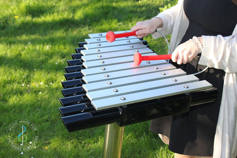 Cadenza Alumba - Sensory Garden Musical Instrument, Learning SPACE