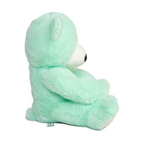 Calm Bear - Mood Bear-Additional Need,Calming and Relaxation,Comfort Toys,Eco Friendly,Emotions & Self Esteem,Games & Toys,Helps With,Mood Bear,PSHE,Social Emotional Learning-Learning SPACE