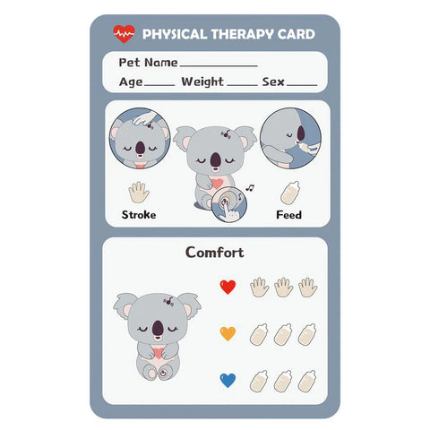 Care Pets - Baby Koala Interactive Cuddly Toy, Learning SPACE