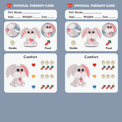 Care Pets - Mummy Bunny Interactive Cuddly Toy, Learning SPACE
