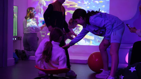 Carousel - Sit and Spin-Active Games,Additional Need,AllSensory,Balancing Equipment,Best Seller,Bounce & Spin,Calming & Anxiety,Cerebral Palsy,Dropship,Dyspraxia,family fund bestsellers,Gonge,Gross Motor and Balance Skills,Helps With,Movement Breaks,Movement Chairs & Accessories,Nurture Room,Proprioceptive,Rocking,SCOTEXCEL,Sensory Processing Disorder,Sensory Seeking,Stock,Vestibular,Wellbeing Furniture-Learning SPACE