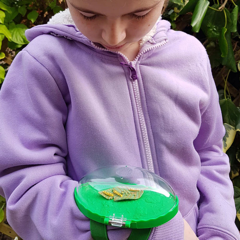 Catch a Bug Wrist Viewer, Learning SPACE