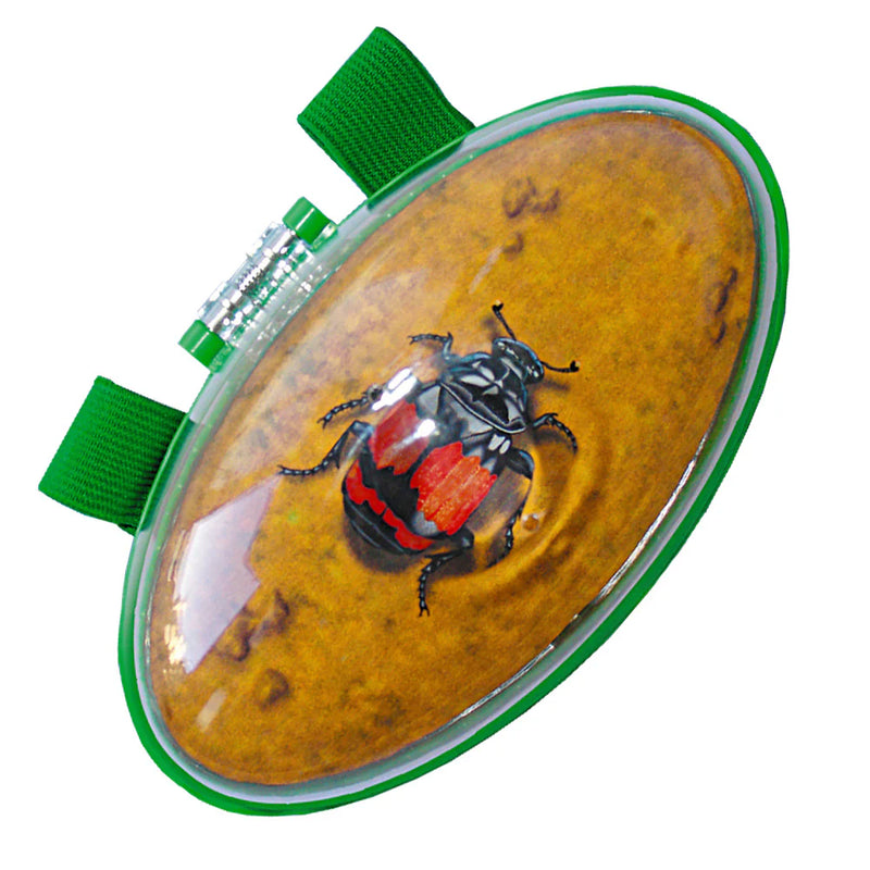 Catch a Bug Wrist Viewer, Learning SPACE