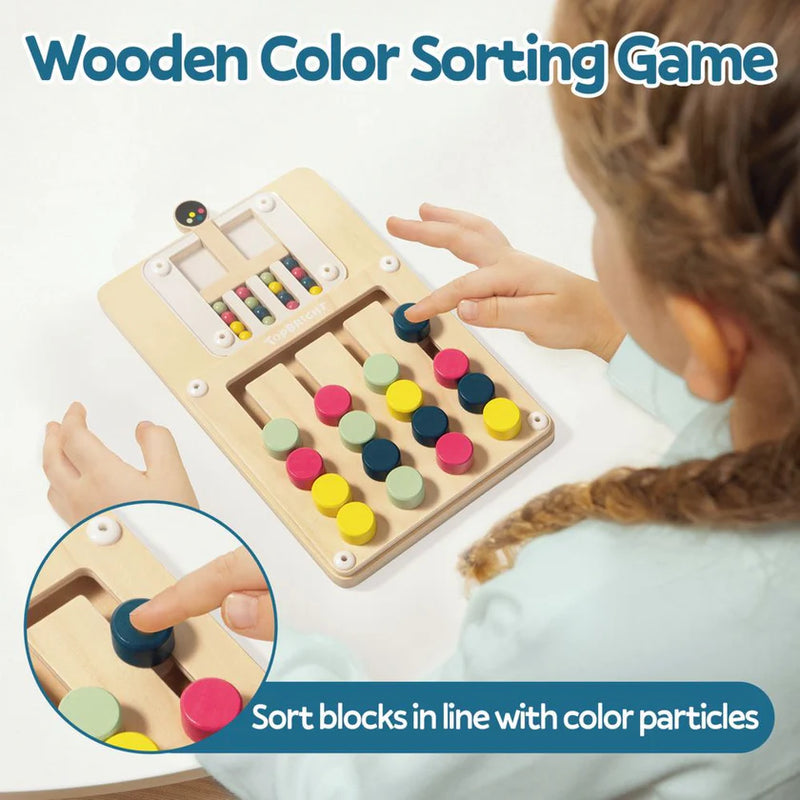 Colour Challenge Montessori Puzzle, Learning SPACE