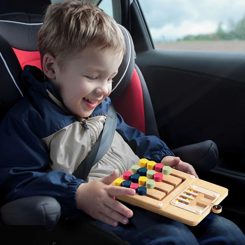 Colour Challenge Montessori Puzzle, Learning SPACE