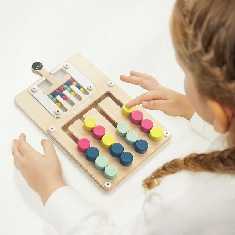 Colour Challenge Montessori Puzzle, Learning SPACE