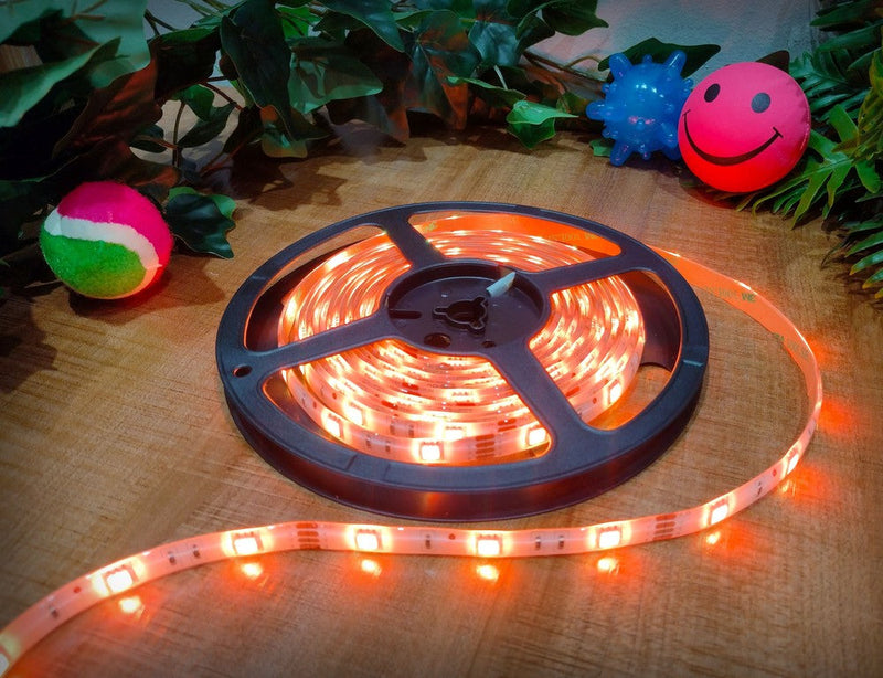 Connect Pro Interactive LED Strip RGB 5M Kit, Learning SPACE