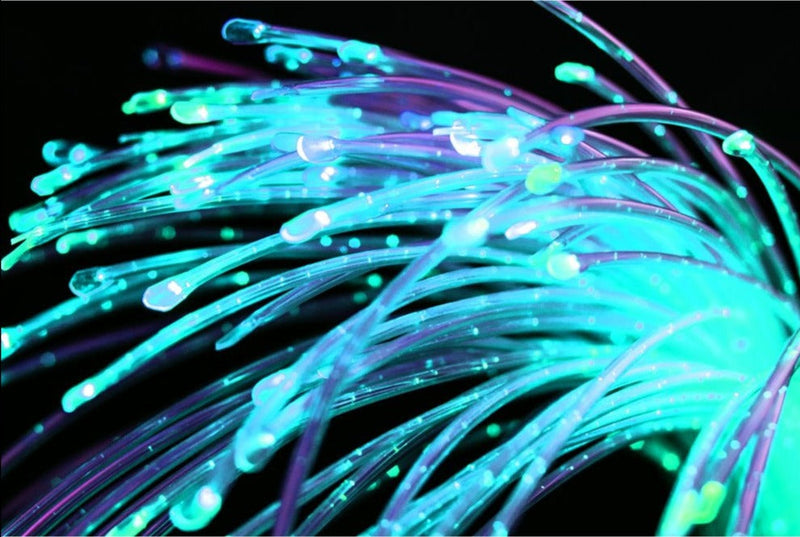 Connect Pro 1M x 50 Tails Colour Changing Fibre Optics with LED Lightsource, Learning SPACE