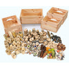 Cosy Complete Natural Treasure Collection-Cosy Direct, Natural, Nature, Nature Learning Environment, Small World, World & Nature-Learning SPACE