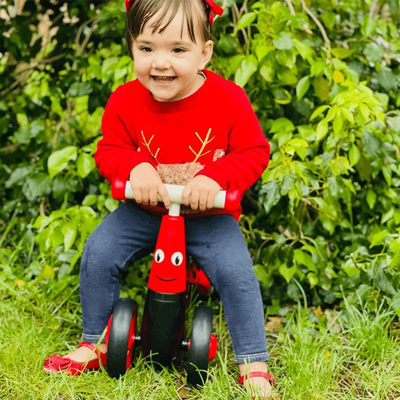 Diditrike - Ladybird Ride On Trike, Learning SPACE