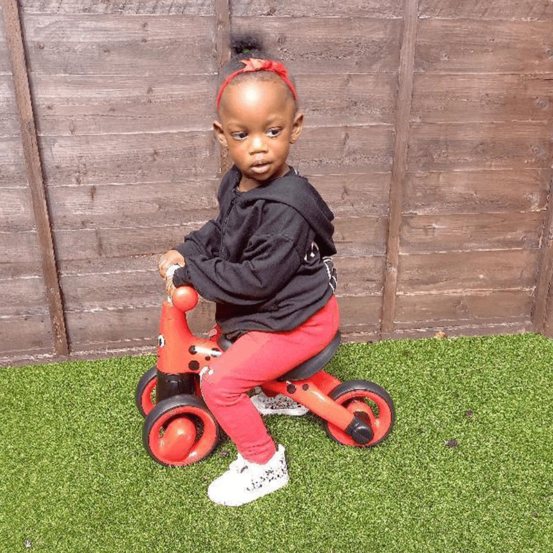 Diditrike - Ladybird Ride On Trike, Learning SPACE