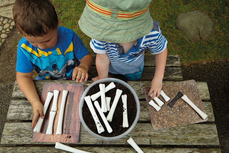 Dinosaur Bones Match and Measure Pack, Sensory toy Learning SPACE