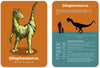 Dinosaur Flashcards-Dinosaurs. Castles & Pirates, Happy Little Doers, Imaginative Play-Learning SPACE