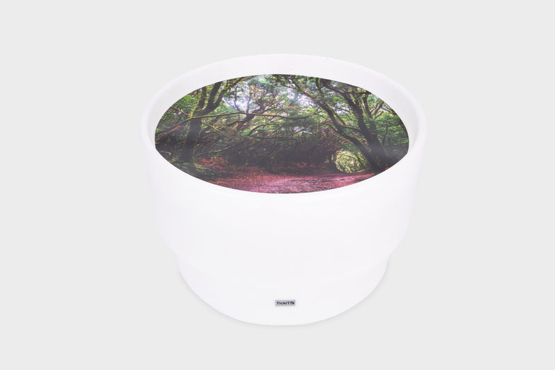 Discovery Jurassic Sensory Bundle, Learning SPACE