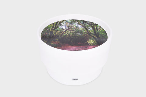 Discovery Jurassic Sensory Bundle, Learning SPACE