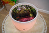 Discovery Jurassic Sensory Bundle, Learning SPACE